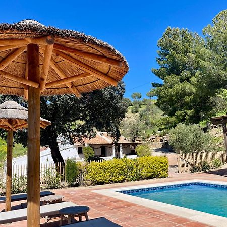 Finca El Sueno Andaluz Villanueva de la Concepción Exterior photo